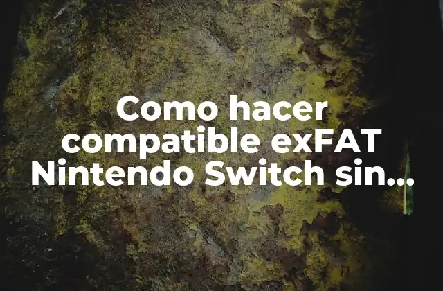 Como Hacer Compatible Exfat Nintendo Switch sin Actualizar