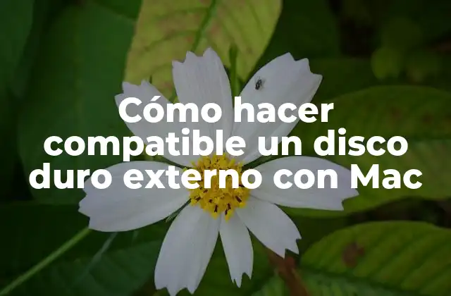 Cómo hacer compatible un disco duro externo con Mac