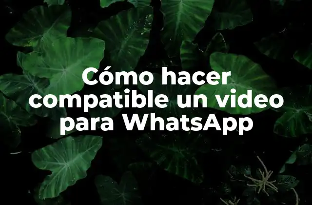 Cómo hacer compatible un video para WhatsApp