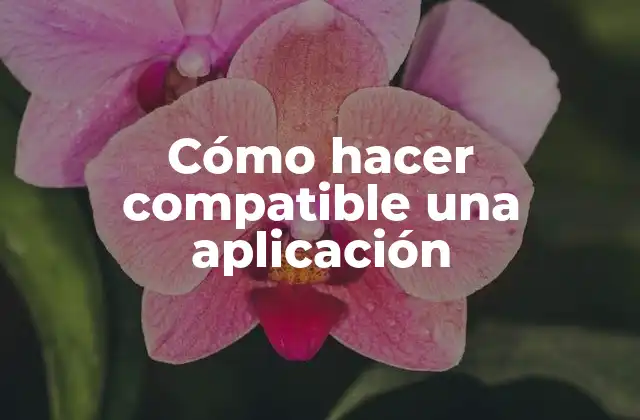 Cómo Hacer Compatible una Aplicación
