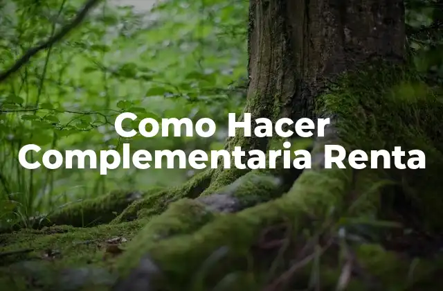 Como Hacer Complementaria Renta 2 ¿Qué es una Renta Complementaria?