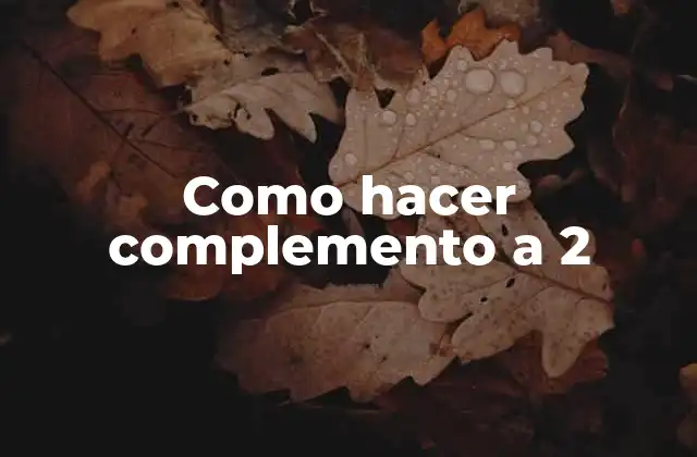 Como Hacer Complemento a 2