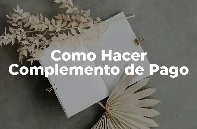Como Hacer Complemento de Pago