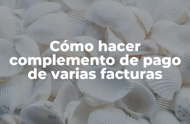 Cómo Hacer Complemento de Pago de Varias Facturas