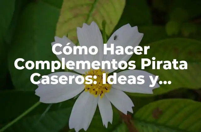 Cómo Hacer Complementos Pirata Caseros: Ideas y Consejos Prácticos