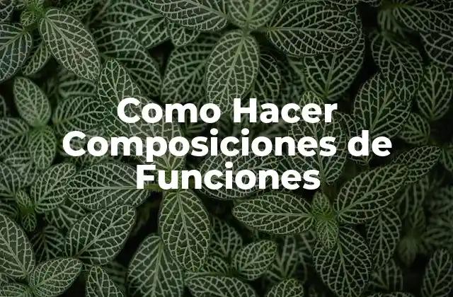 Como Hacer Composiciones de Funciones