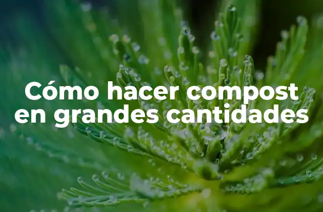 Cómo Hacer Compost en Grandes Cantidades