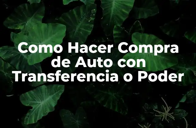 Como Hacer Compra de Auto con Transferencia o Poder