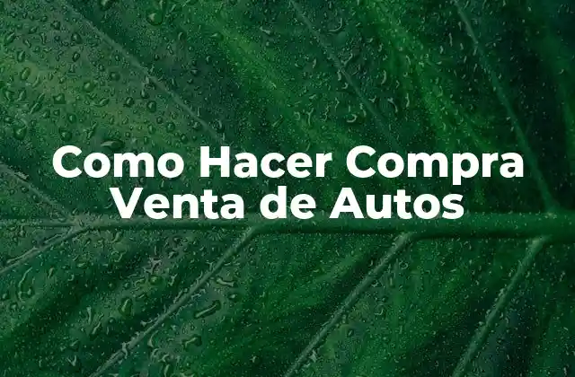 Como Hacer Compra Venta de Autos