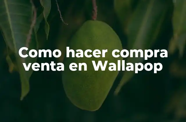 Como Hacer Compra Venta en Wallapop 2 ¿Qué es Wallapop y cómo funciona?