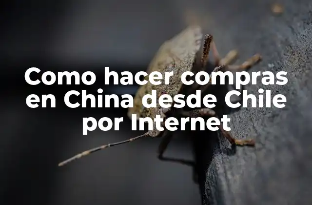 Como hacer compras en China desde Chile por Internet