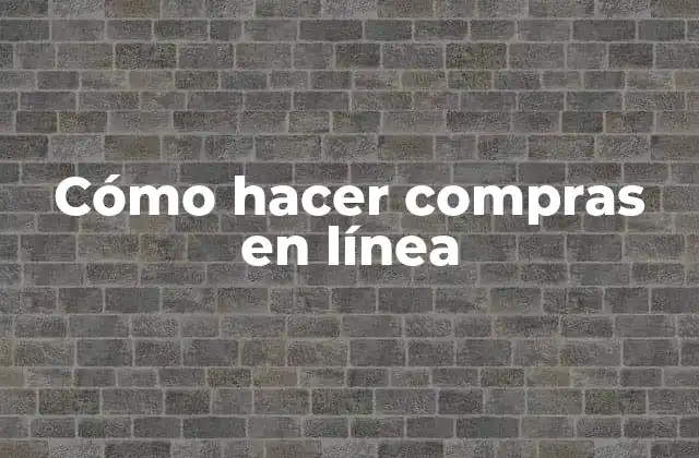 Cómo Hacer Compras en Línea