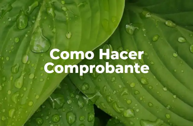 Como Hacer Comprobante