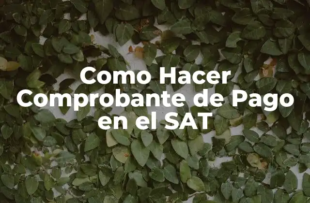 Como Hacer Comprobante de Pago en el Sat