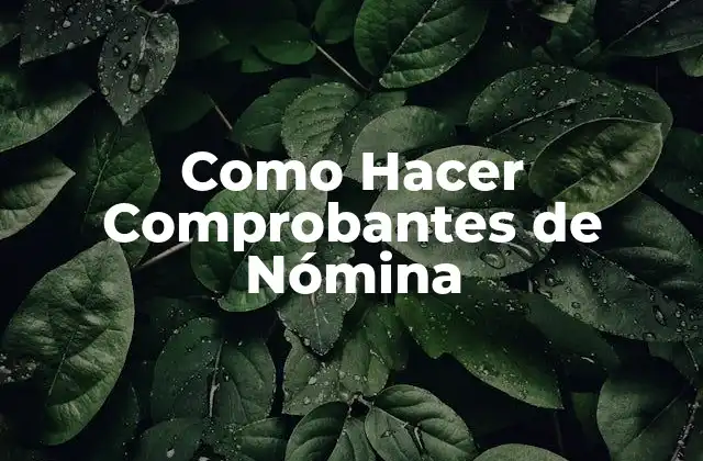 Como Hacer Comprobantes de Nómina