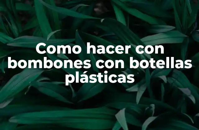 Como Hacer con Bombones con Botellas Plásticas