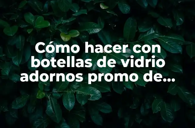 Cómo Hacer con Botellas de Vidrio Adornos Promo de Mesa