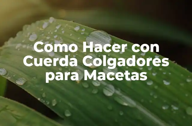 Como Hacer con Cuerda Colgadores para Macetas
