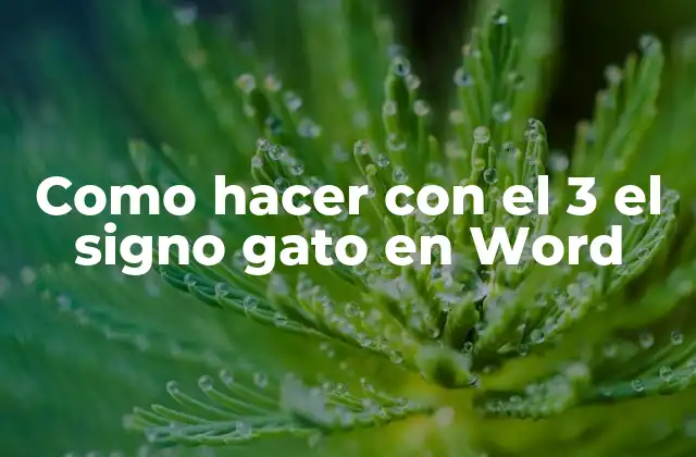Como Hacer con el 3 el Signo Gato en Word