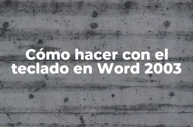 Cómo Hacer con el Teclado en Word 2003