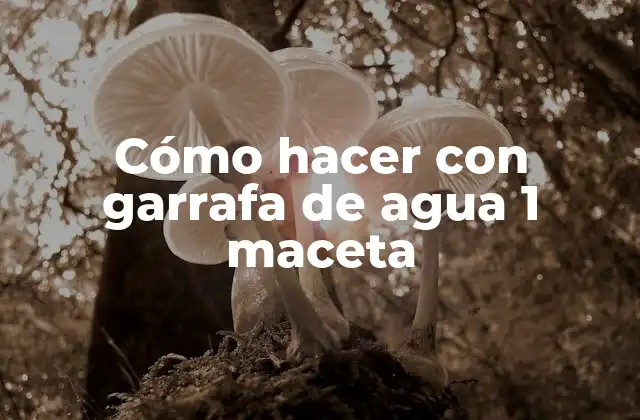 Cómo Hacer con Garrafa de Agua 1 Maceta