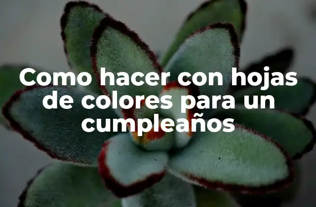 Como Hacer con Hojas de Colores para un Cumpleaños