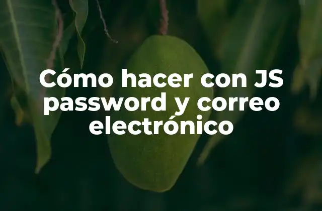 Cómo Hacer con Js Password y Correo Electrónico