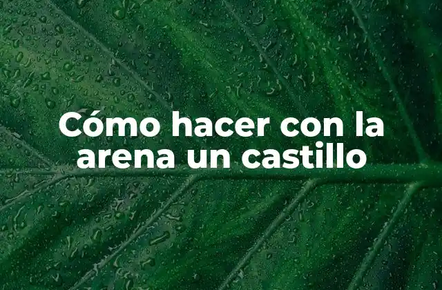 Cómo Hacer con la Arena un Castillo 2 Cómo hacer con la arena un castillo