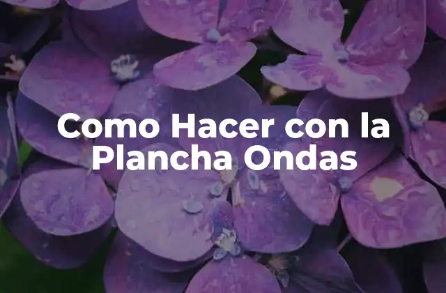 Como Hacer con la Plancha Ondas 2 La Plancha Ondas: Qué es y Cómo Funciona