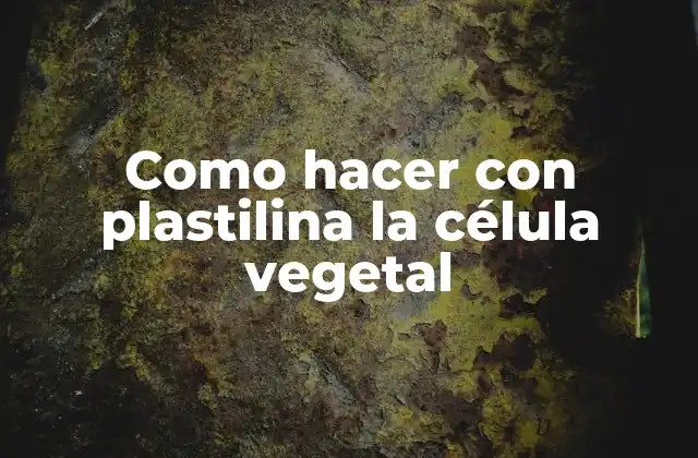 Como Hacer con Plastilina la Célula Vegetal