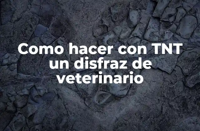 Como Hacer con Tnt un Disfraz de Veterinario