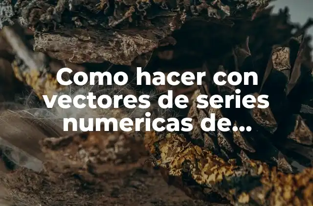 Como Hacer con Vectores de Series Numericas de Programacion