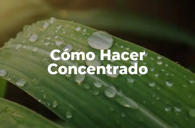 Cómo Hacer Concentrado 2 Cómo Hacer Concentrado