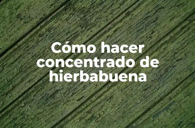 Cómo hacer concentrado de hierbabuena