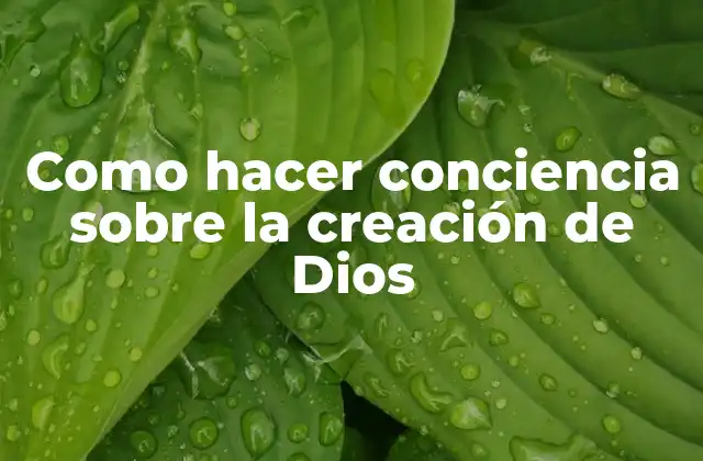 Como Hacer Conciencia sobre la Creación de Dios 2 La creación de Dios