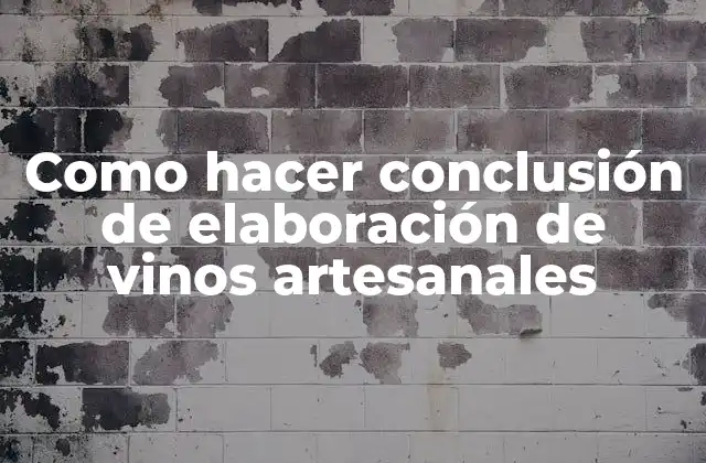 Como Hacer Conclusión de Elaboración de Vinos Artesanales