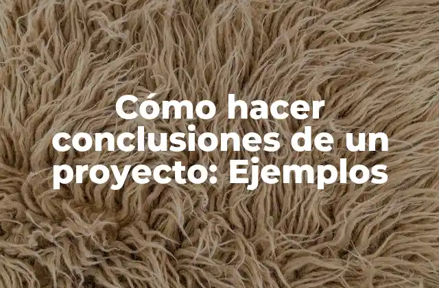 Cómo Hacer Conclusiones de un Proyecto: Ejemplos