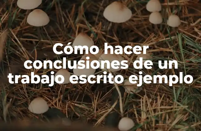 Cómo Hacer Conclusiones de un Trabajo Escrito Ejemplo