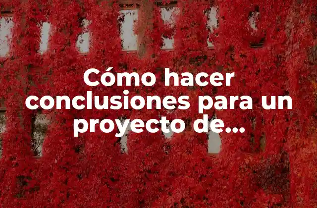 Cómo Hacer Conclusiones para un Proyecto de Investigación