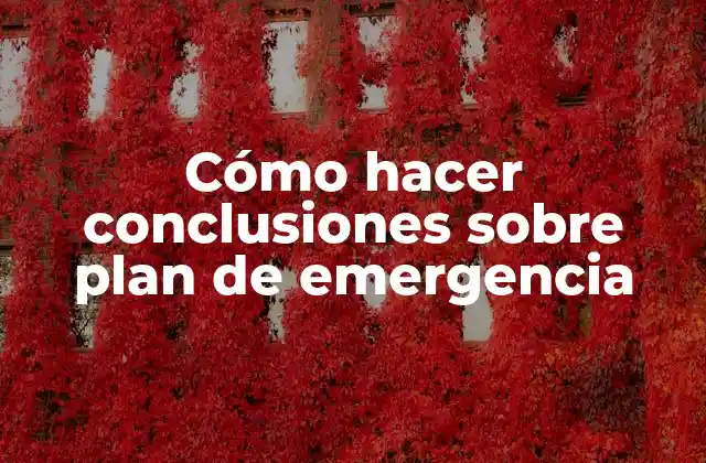 Cómo Hacer Conclusiones sobre Plan de Emergencia 2 ¿Qué es un plan de emergencia y para qué sirve?