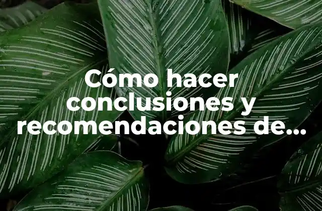 Cómo hacer conclusiones y recomendaciones de un informe