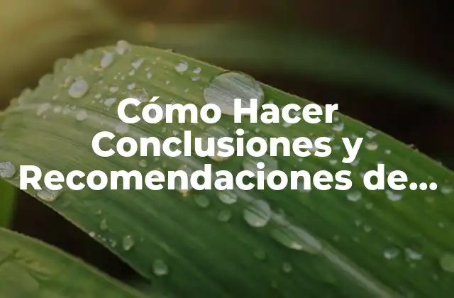 Cómo Hacer Conclusiones y Recomendaciones de una Investigación