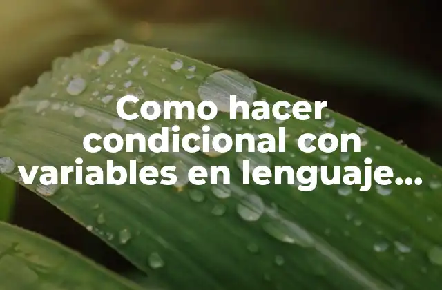 Como Hacer Condicional con Variables en Lenguaje Go