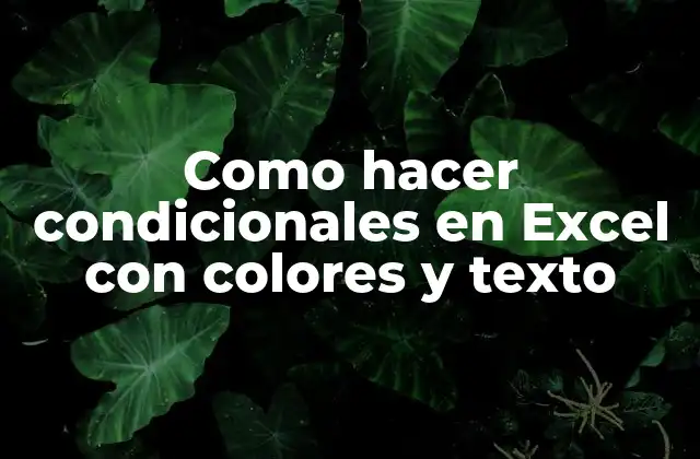 ¿Qué son los condicionales en Excel con colores y texto?