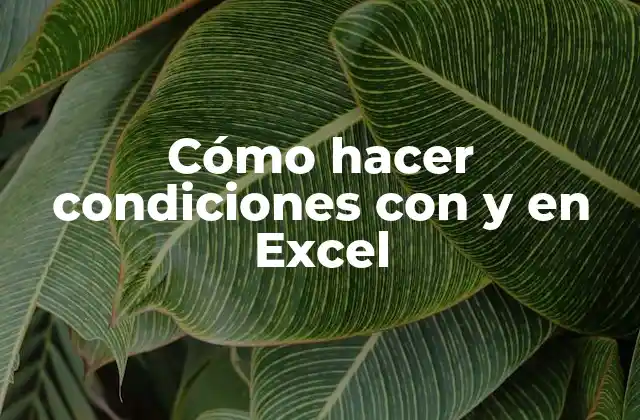 Cómo Hacer Condiciones con y en Excel
