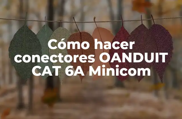 Cómo Hacer Conectores Oanduit Cat 6a Minicom