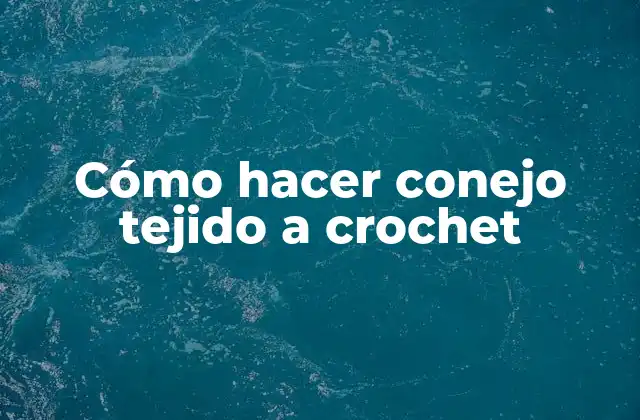 Cómo Hacer Conejo Tejido a Crochet