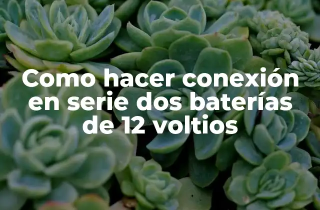 Como Hacer Conexión en Serie Dos Baterías de 12 Voltios