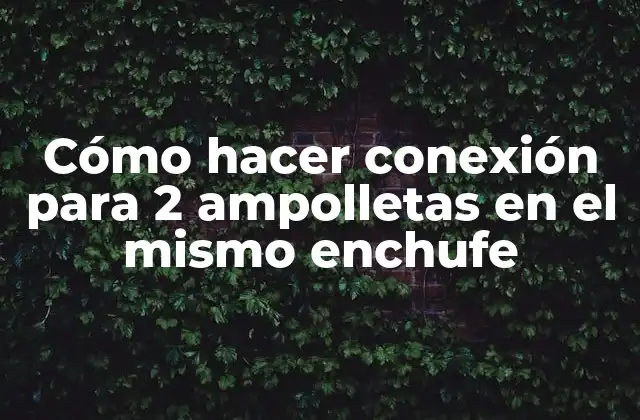 Cómo Hacer Conexión para 2 Ampolletas en el Mismo Enchufe