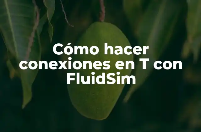 Cómo Hacer Conexiones en T con Fluidsim